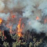 Οι ψηλές θερμοκρασίες ευνοούν τις πυρκαγιές αλλά δεν τις προκαλούν