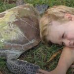 Ο 5χρονος που βοηθά τραυματισμένες χελώνες να επιστρέψουν στη θάλασσα