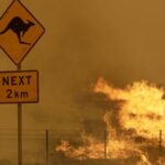Αυστραλία: Τρία δισεκατομμύρια ζώα κάηκαν στις φωτιές ή εκτοπίστηκαν