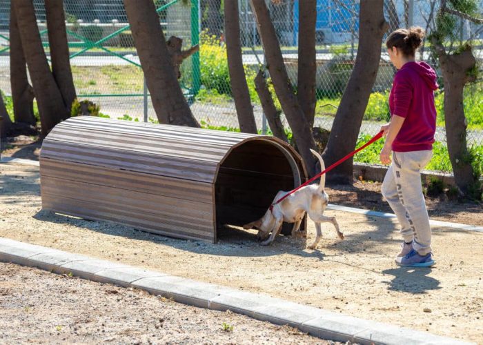 Λειτούργησε το πάρκο σκύλων στη Λεμεσό