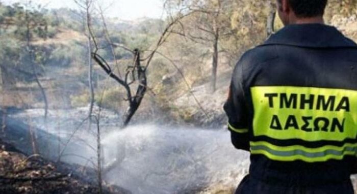 Τμήμα Δασών: Απαγορεύεται το άναμμα φωτιάς την Καθαρά Δευτέρα