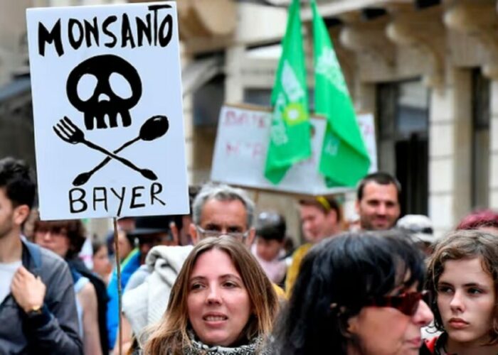 monsanto bayer 1024x614 1 700x500 d3O8sJ