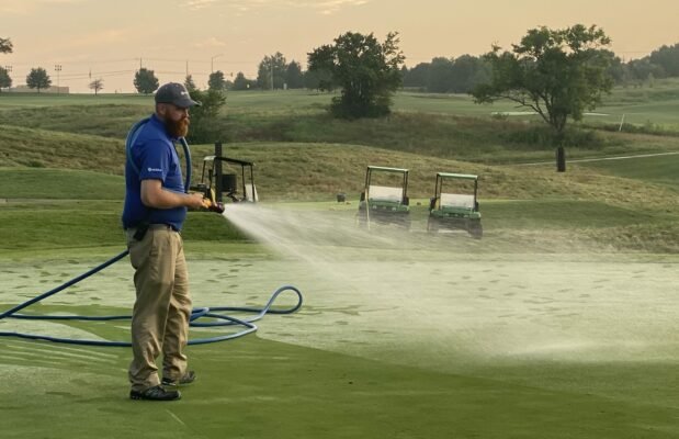 watering green 2048x13231 1 619x400 dYoIvp