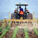 NEOI AGROTES 1 150x150 qL4eAA