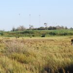 akrotiri 4 150x150 GsBp9i