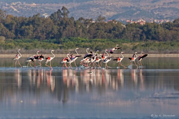 A. Stoecker June 2014 Akrotiri 7 600x400 NvnchH