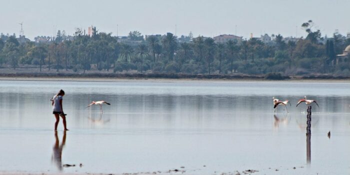 alykilarnakasekglovismos1 700x350 94uQhZ