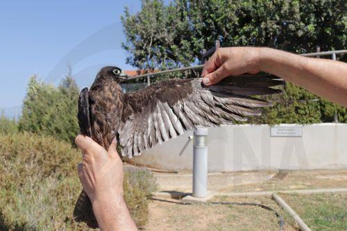 cache 500x500 2309396 1150895 08102020074206 A4qihR