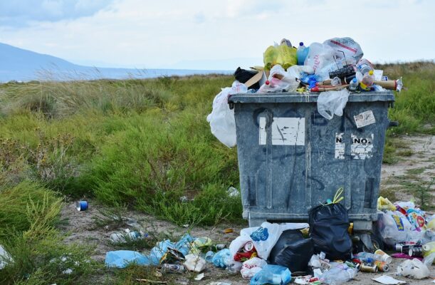 garbage 2729608 960 7201 611x400 Cj44Fg