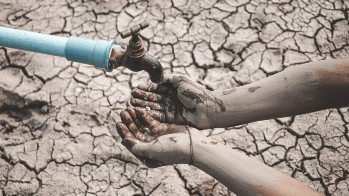 image 439 700x393 u5Y0h7