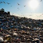 APOVLITA 4 150x150 cChrBF