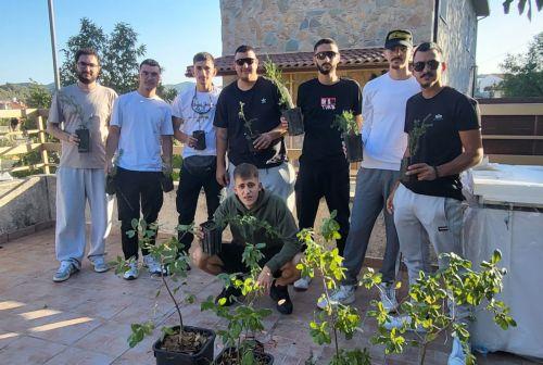 cache 500x500 9424174 792639 21112025094731 ozI4Ll