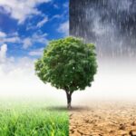 climate change1 700x500 0hlcVn 150x150 gISFFH