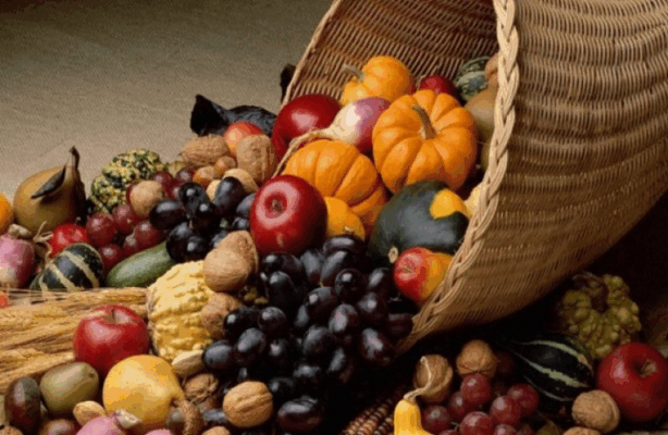 image 53 614x400 leoF4U