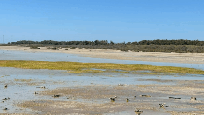 lymata akrwthri1 700x394 z6fHJm