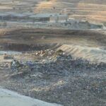 oedakosi51 700x500 Bu0pWc 150x150 iICAFF