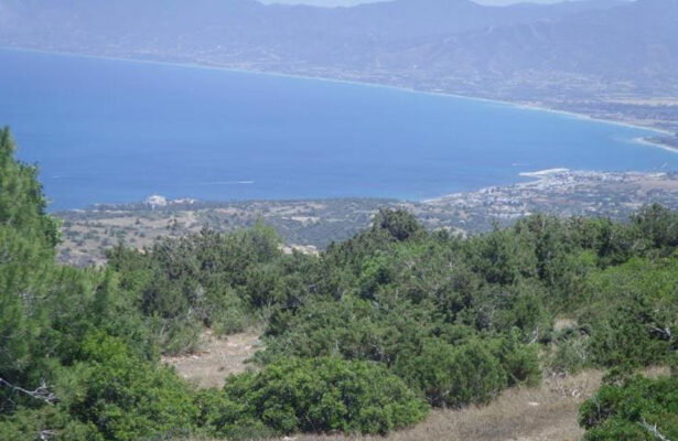 1710936722 04549 615x400 X1depY