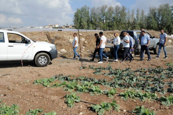 GEORGOI 600x400 ck3VJB