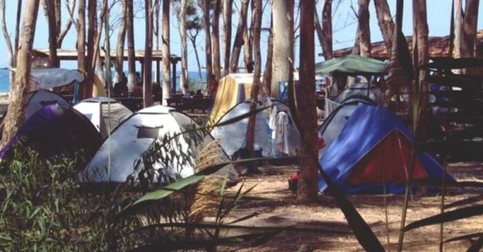 cache 1300x500 Analog medium 378575 158373 25 04 27 202553 700x366 RyO6LM