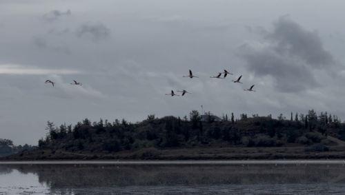 cache 500x500 9510306 422907 08122025102847 Tolczj