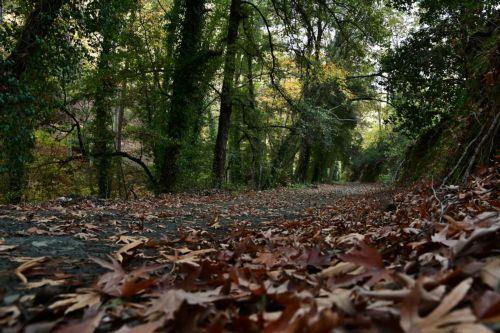 cache 500x500 9533792 1341517 12122025075404 L8n3Ue