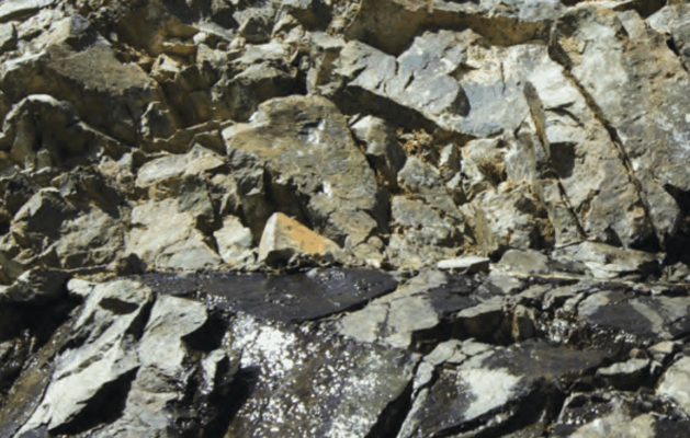 image 34 629x400 QBqWuu