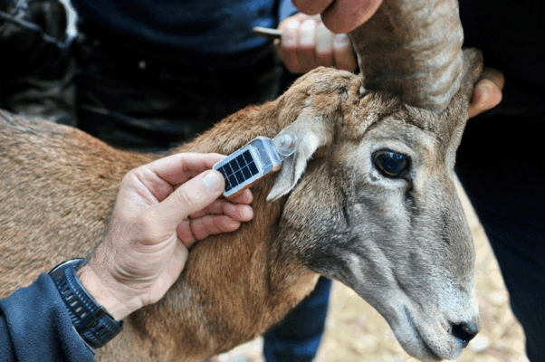 image 60 602x400 M4y60v