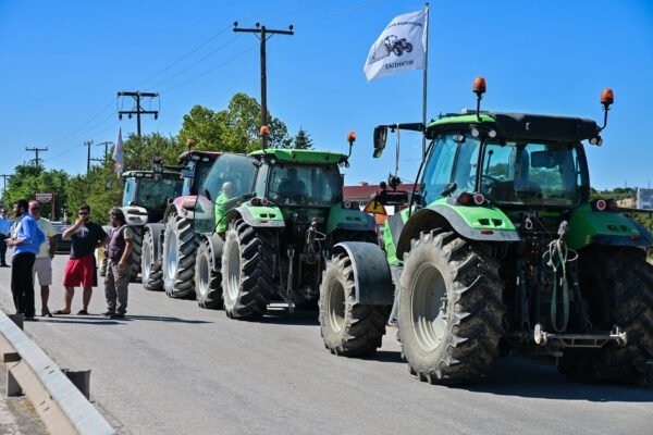 agrotes231 600x400 VYjfR1