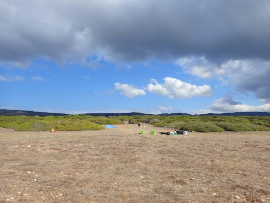 DOC.20260205.9766771.akamas 533x400 hIKSga