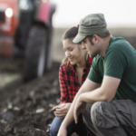 agrotes 150x150 5YCZO2