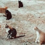 gates 150x150 U1h7rl