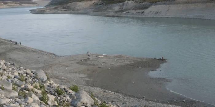 image 173 700x350 In8fZH