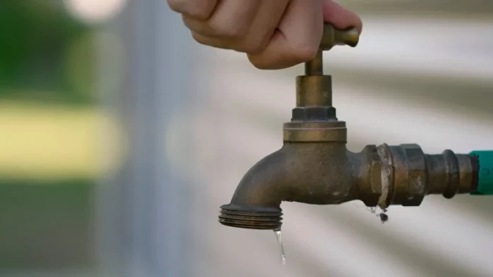 leipsydria anomvria nero thumb1 700x394 BFACvR