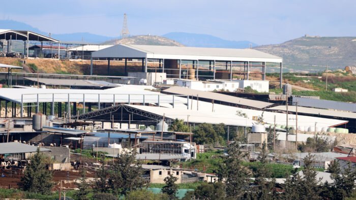 afthodisaradippou 1 700x394 bUdrnr