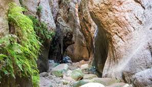images1 4