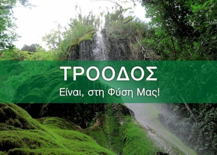 ilife troodos msGMZc