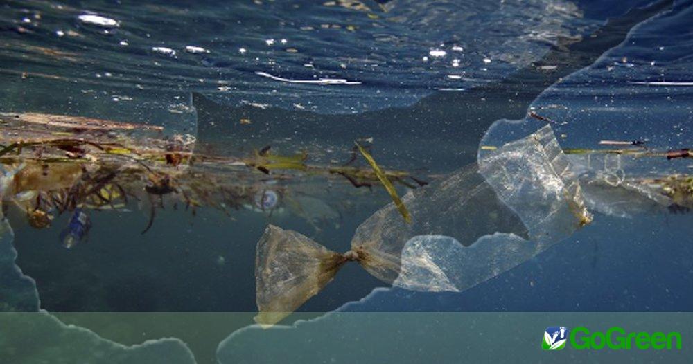 Επιτροπή για την αντιμετώπιση της θαλάσσιας ρύπανσης στις ακτές της Κύπρου