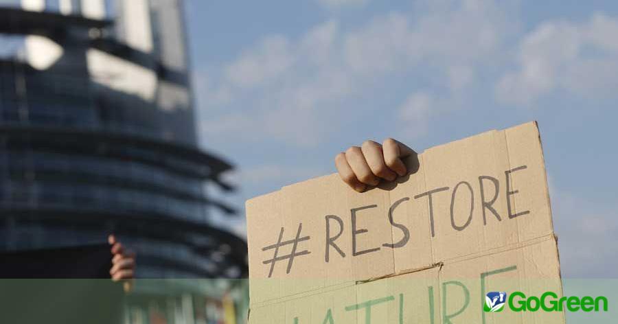 Μέχρι 10 χρόνια φυλάκιση και τσουχτερά πρόστιμα για περιβαλλοντικά εγκλήματα