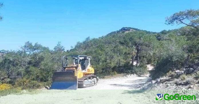 Καταγγελίες για νέες διαπλατύνσεις στον Ακάμα – Απορρίπτει τις καταγγελίες το Τμήμα Δασών