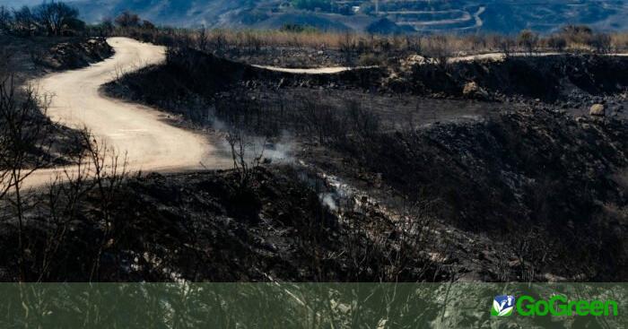 Περίπου 120 οι παράνομοι σκυβαλότοποι στην Κύπρο – «Αδράνεια αναδεικνύουν οι πρόσφατες πυρκαγιές» τονίζει ο Ν. Κέττηρος