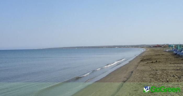 Εφαρμογή νομοθεσίας στην παραλία Lady’s Mile, ζητούν Terra Cypria και BirdLife