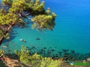 Η προστασία της φύσης, ασπίδα απέναντι στην κλιµατική κρίση