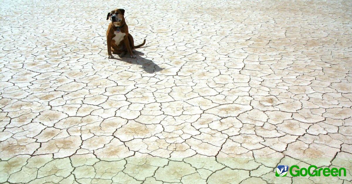 Ακραία ξηρασία πλήττει πάνω από 420.000 παιδιά στον Αμαζόνιο