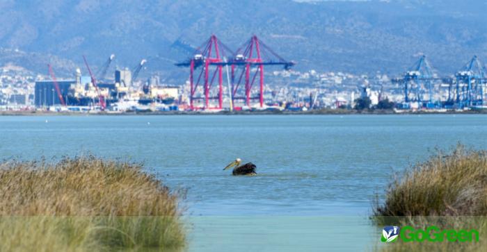 «Ενδείξεις ότι γινόταν εναπόθεση αποβλήτων στην αλυκή Ακρωτηρίου»