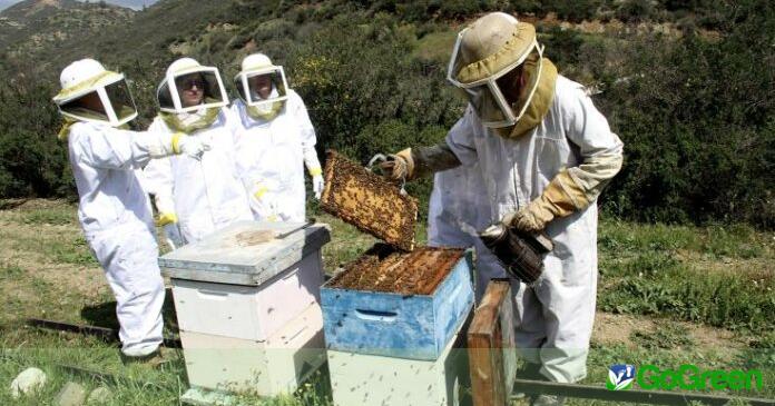 Περιδιάβαση στα Μελισσοχώρια Λάρνακας