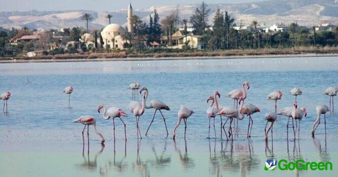 Αποκαλύπτουμε τις βασικές σχεδιαστικές παραμέτρους  για το Κέντρο Περιβαλλοντικής Ενημέρωσης Αλυκών Λάρνακας