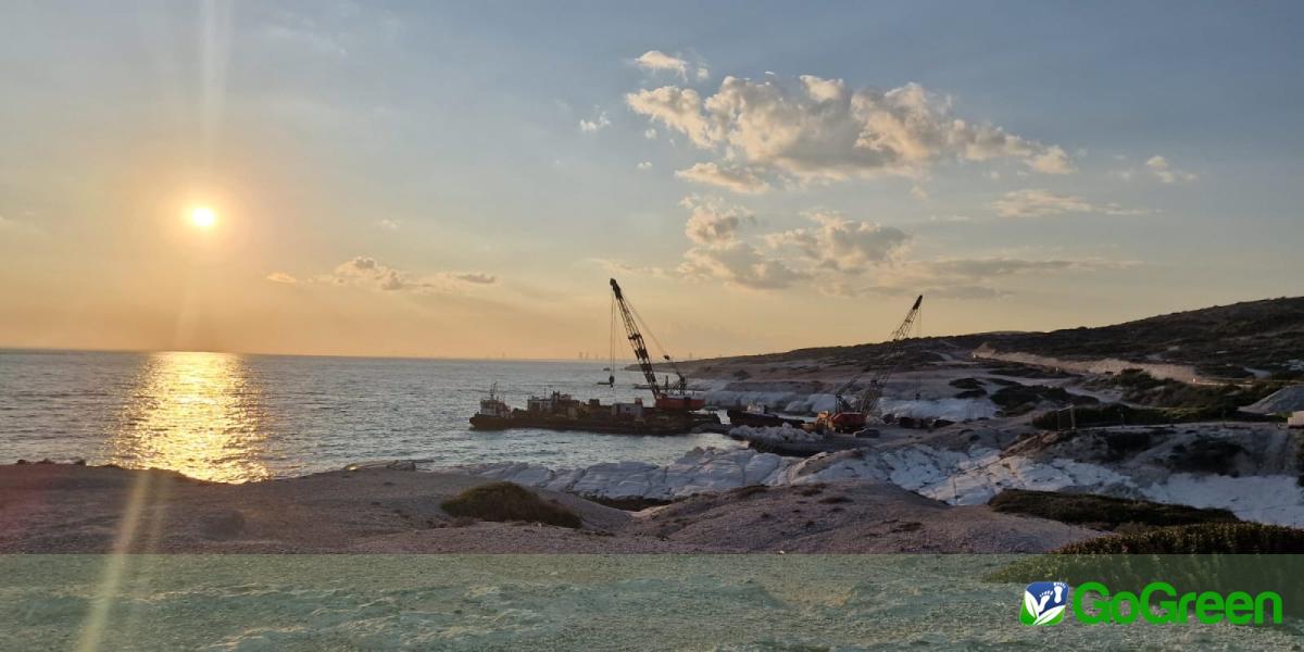 Προστασία της Μεσογειακής Φώκιας και το Έργο στο Πεντάκωμο: Κίνδυνοι και Σοβαρές Ανησυχίες