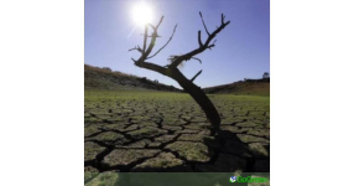 Τραγική κατάσταση – Σε ξηρασία η μισή Ευρώπη! Τραγική κατάσταση – Σε ξηρασία η μισή Ευρώπη!
