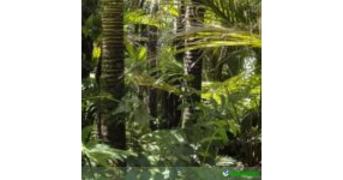 Η Κομισιόν αναθεωρεί τη στάση της για τον κανονισμό αποψίλωσης