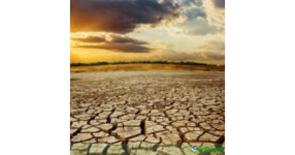 Θεοπέμπτου: Ζούμε την κλιματική κρίση – Η κυβέρνηση περιορίστηκε στο να απαγορεύσει το λάστιχο, ενώ ποτίζονται γήπεδα γκολφ Θεοπέμπτου: Ζούμε την κλιματική κρίση – Η κυβέρνηση περιορίστηκε στο να απαγορεύσει το λάστιχο, ενώ ποτίζονται γήπεδα γκολφ